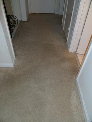 After Carpet Cleaning in Coconut Creek, FL