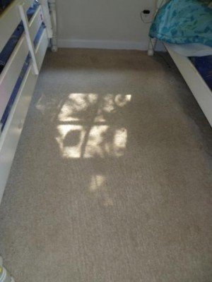 After Carpet Cleaning in Margate, FL