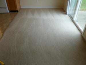 After Carpet Cleaning in LightHouse, FL