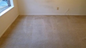 After Carpet Cleaning in Pompano Beach, FL