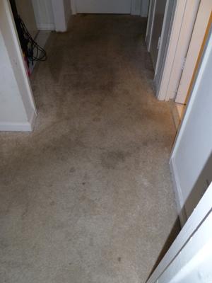 Before Carpet Cleaning in Coconut Creek, FL