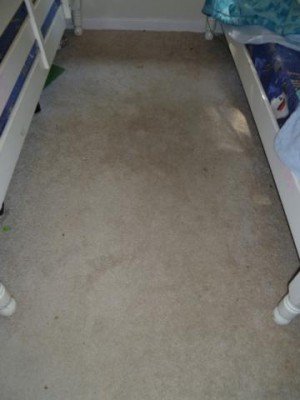 Before Carpet Cleaning in Margate, FL