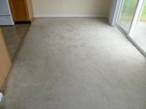 Before Carpet Cleaning in LightHouse, FL