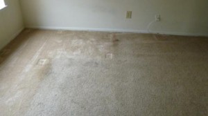 Before Carpet Cleaning in Pompano Beach, FL