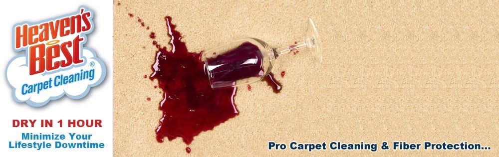 Carpet/Upholstery Fabric Stain Protection Coconut Creek, Pompano Beach, Margate, FL
