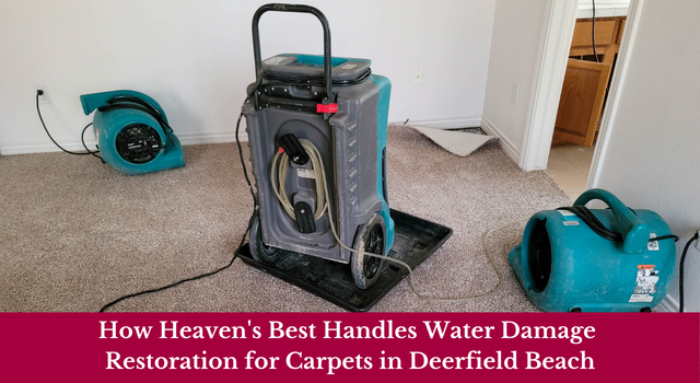 How Heaven's Best Handles Water Damage Restoration for Carpets