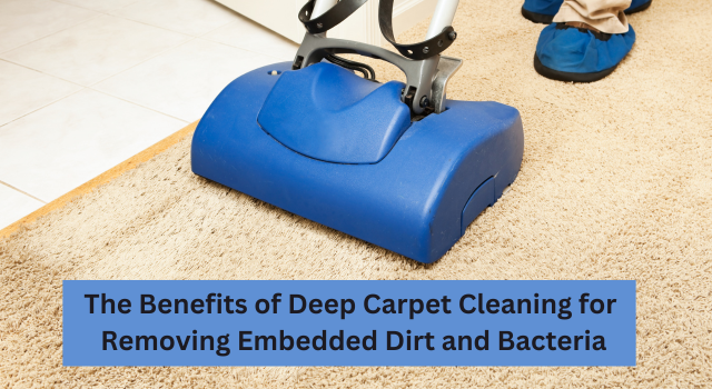 Carpet Cleaning Coral Springs and Deerfield Beach