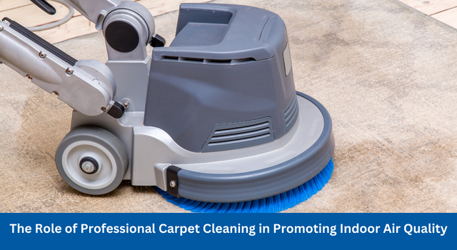 The Role of Professional Carpet Cleaning in Promoting Indoor Air Quality
