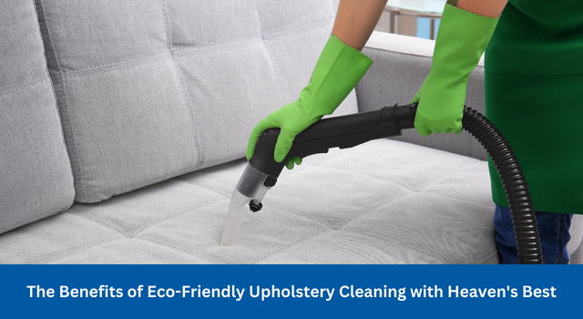 upholstery cleaning Coral Springs