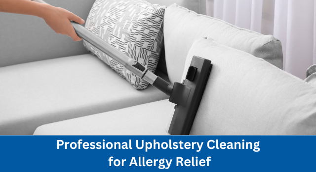 Upholstery Cleaning Services In Parkland