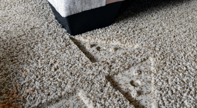 Furniture Indentations on Carpet