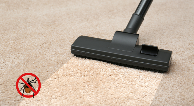 Hidden Dangers in Carpet