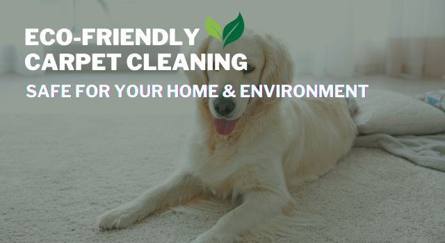 Eco-friendly carpet cleaning products with natural ingredients