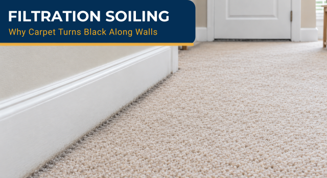 Carpet cleaning helps remove black lines along walls